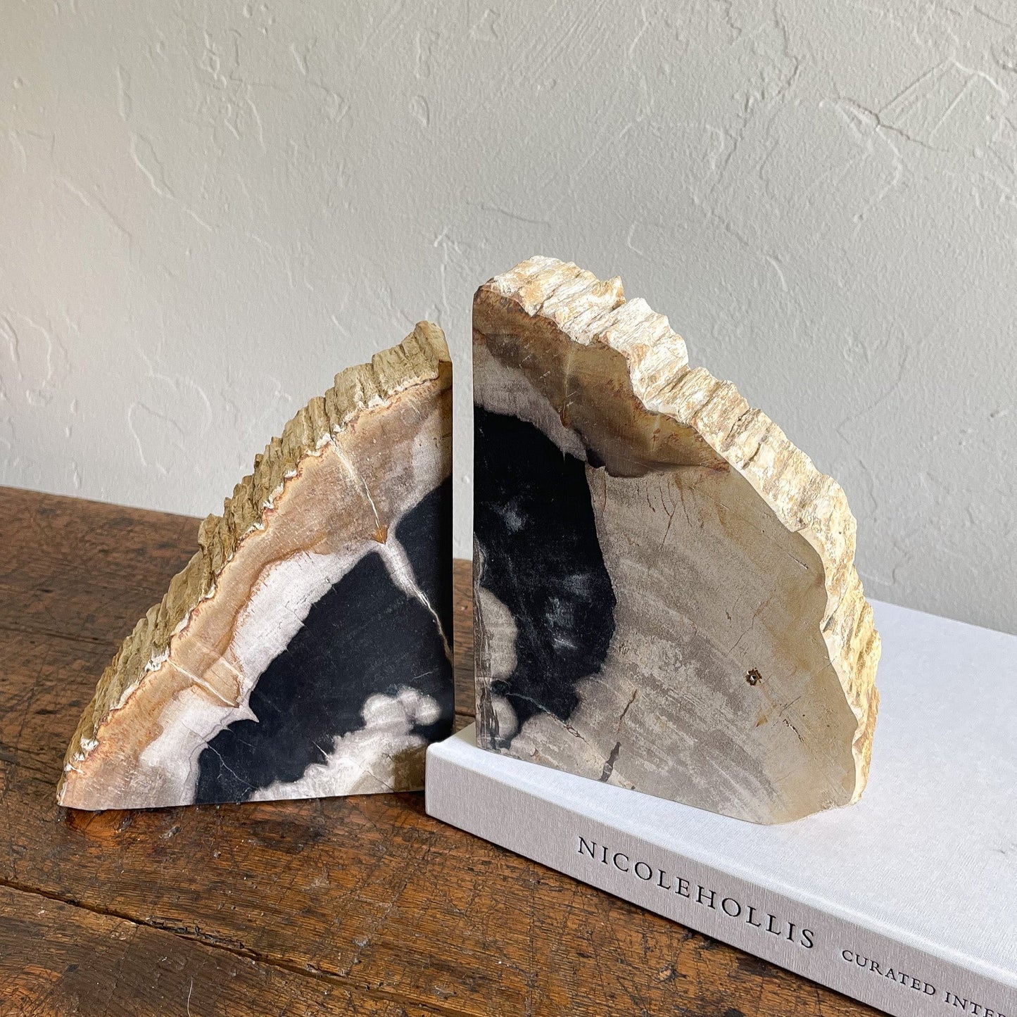 Petrified Wood Bookends