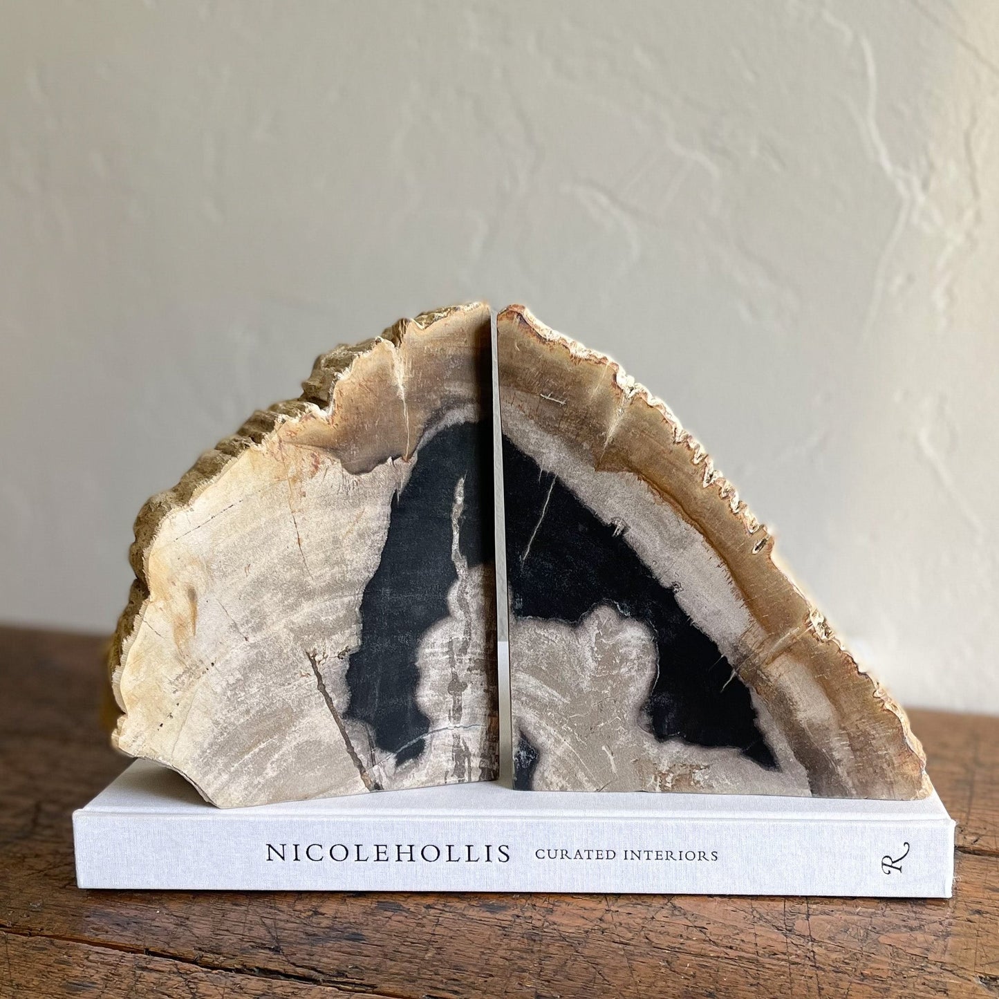 Petrified Wood Bookends