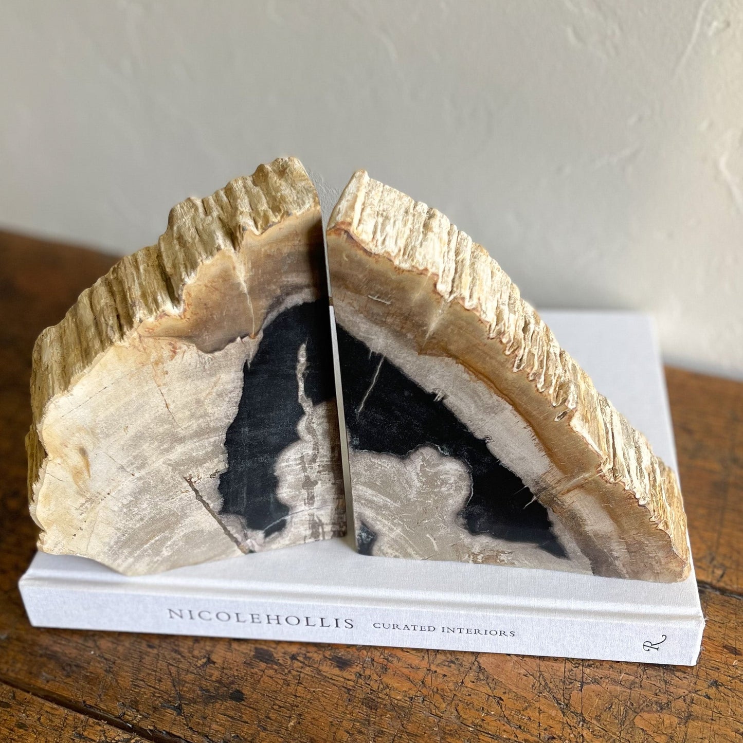 Petrified Wood Bookends