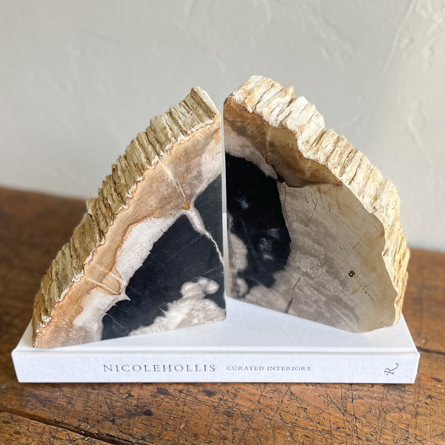 Petrified Wood Bookends