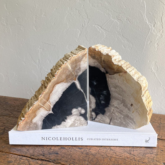 Petrified Wood Bookends