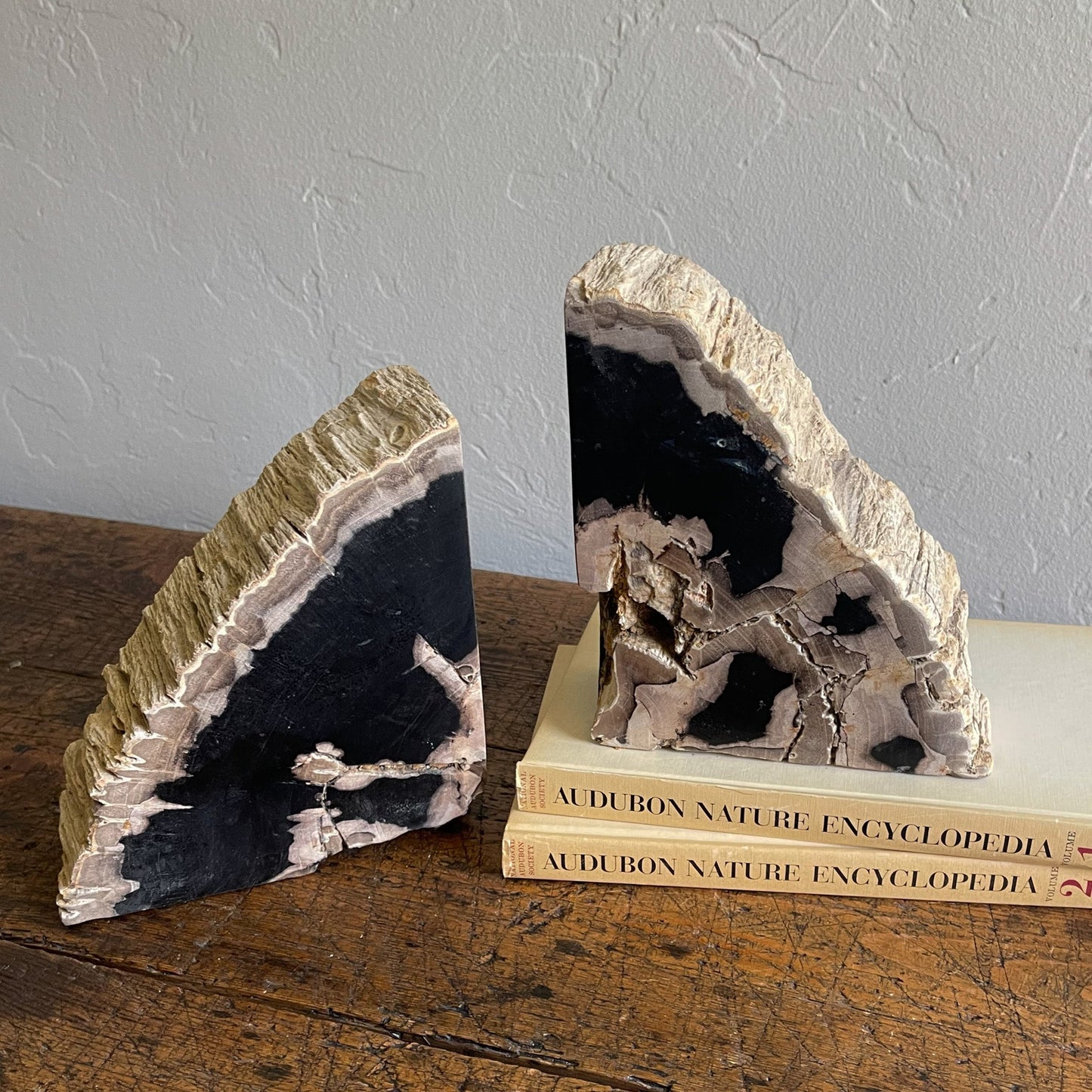 Petrified Wood Bookends