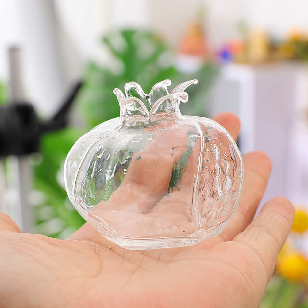 Pomegranate Hydroponic Clear Glass Flower Vase