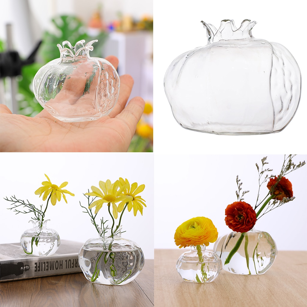 Pomegranate Hydroponic Clear Glass Flower Vase