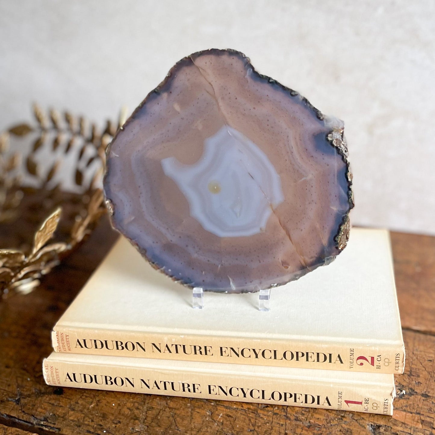 Translucent Agate Slice