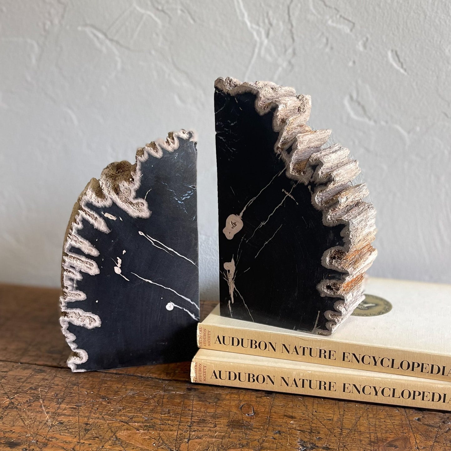 Petrified Wood Bookends