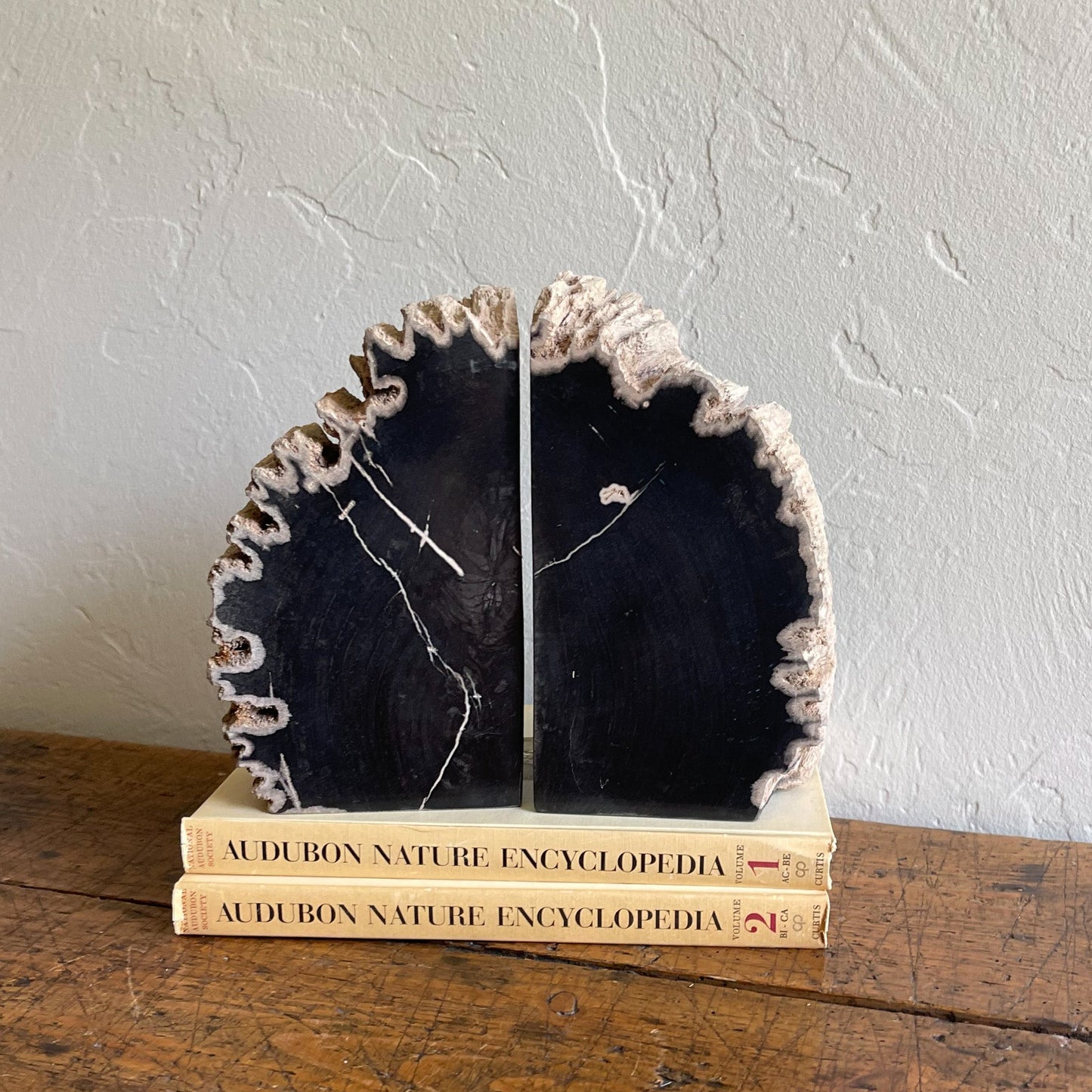 Petrified Wood Bookends