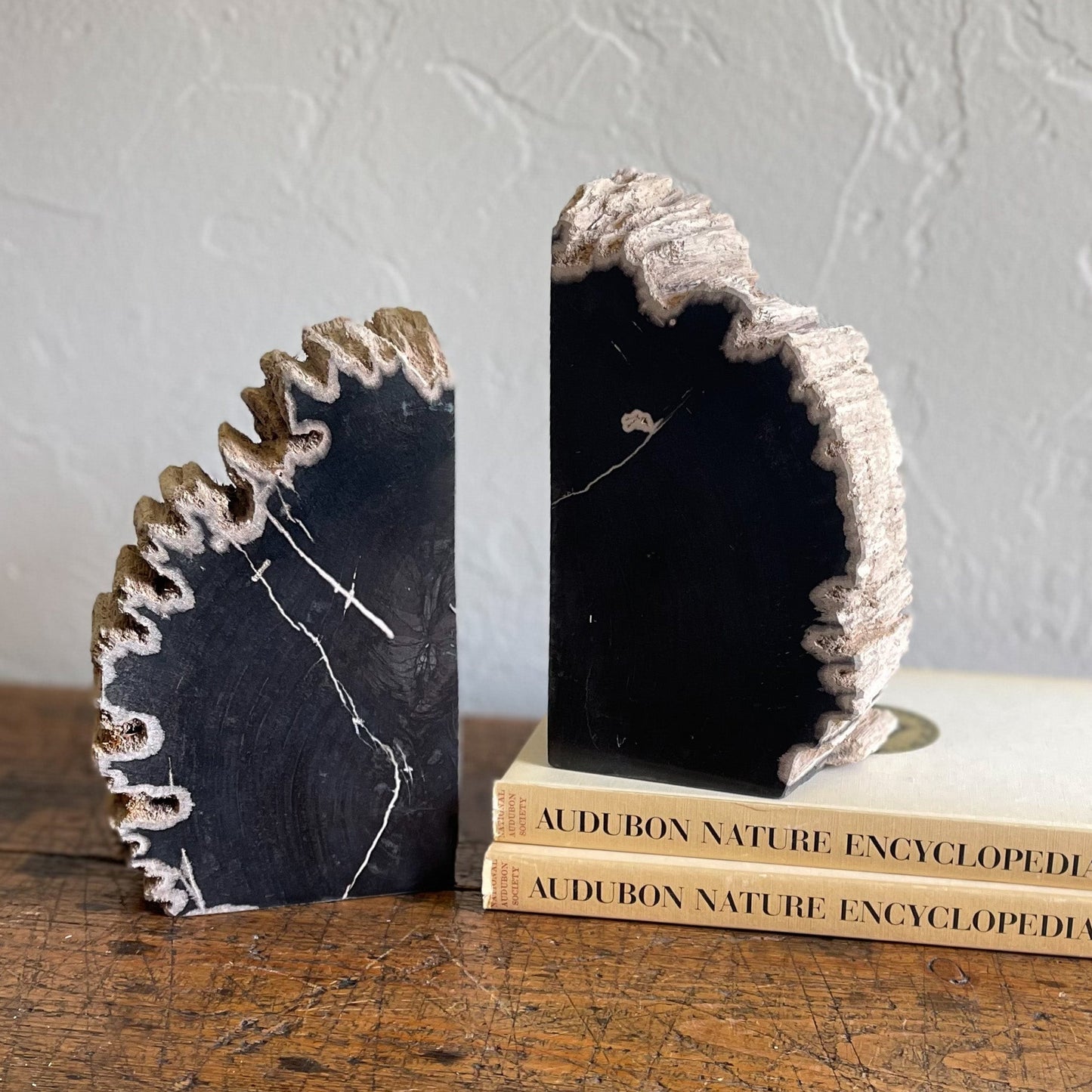 Petrified Wood Bookends